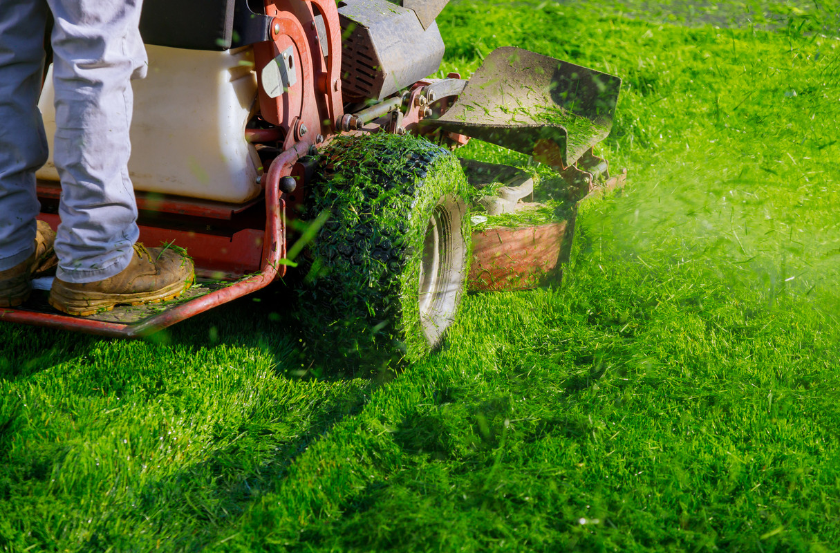 Lawn Mowing – How Often Should You Mow Your Lawn?